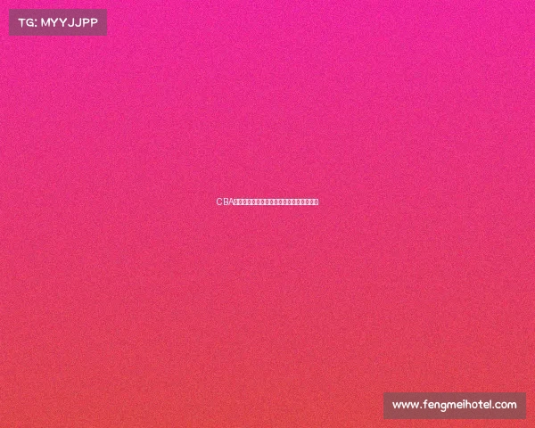 CBA梯队建设的现状与未来发展路径探析与思考