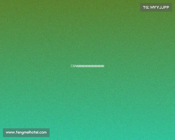 CBA梯队建设的现状与未来发展路径探析与思考