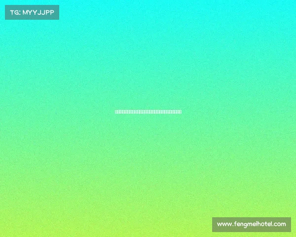 打造未来之星：足球年轻球员培养体系与发展路径的深度探讨