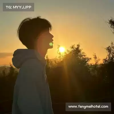蒙好泓